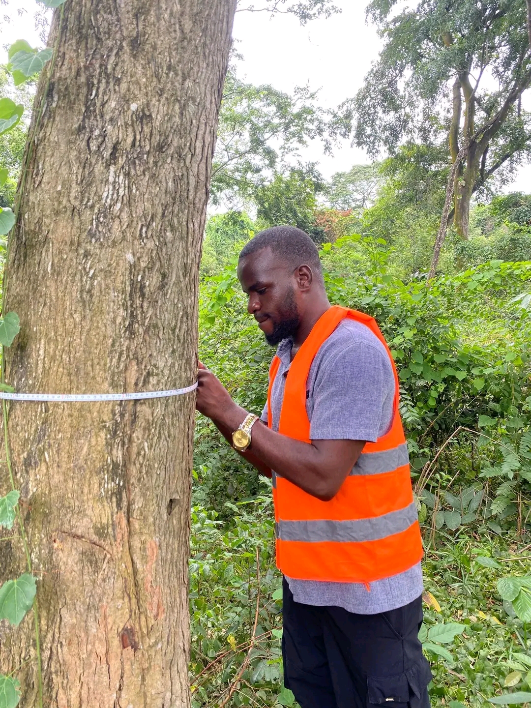 GEEC SARL accueille des étudiants en droit de l’environnement de l’Université de Kinshasa pour un programme de stages académiques
