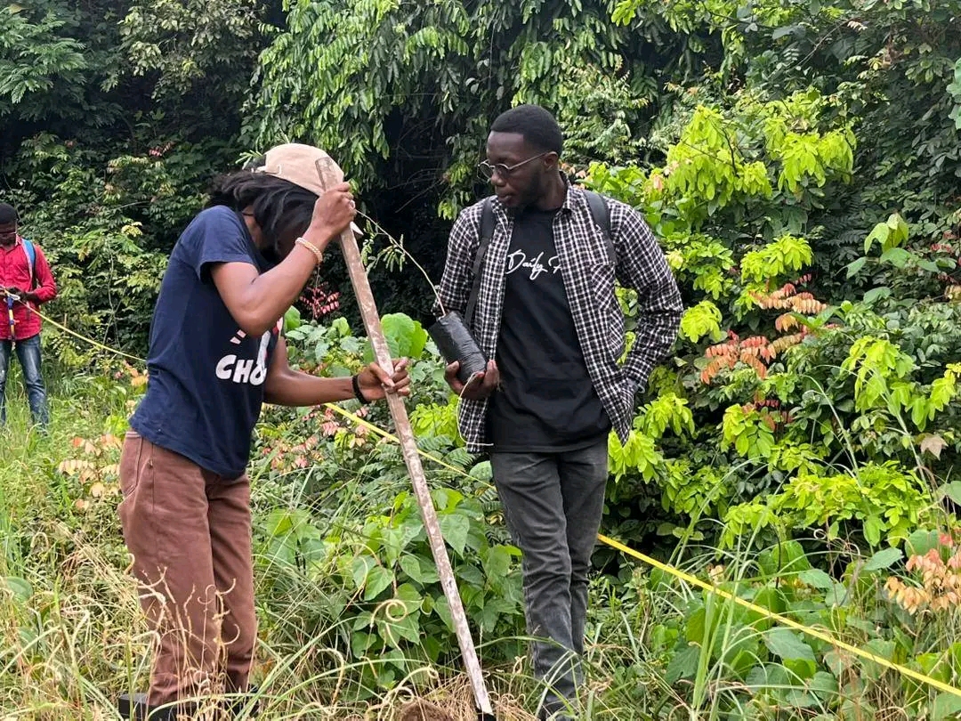 Formation pratique en reboisement agroforestier : GEEC SARL mise sur l'innovation pour restaurer les écosystèmes