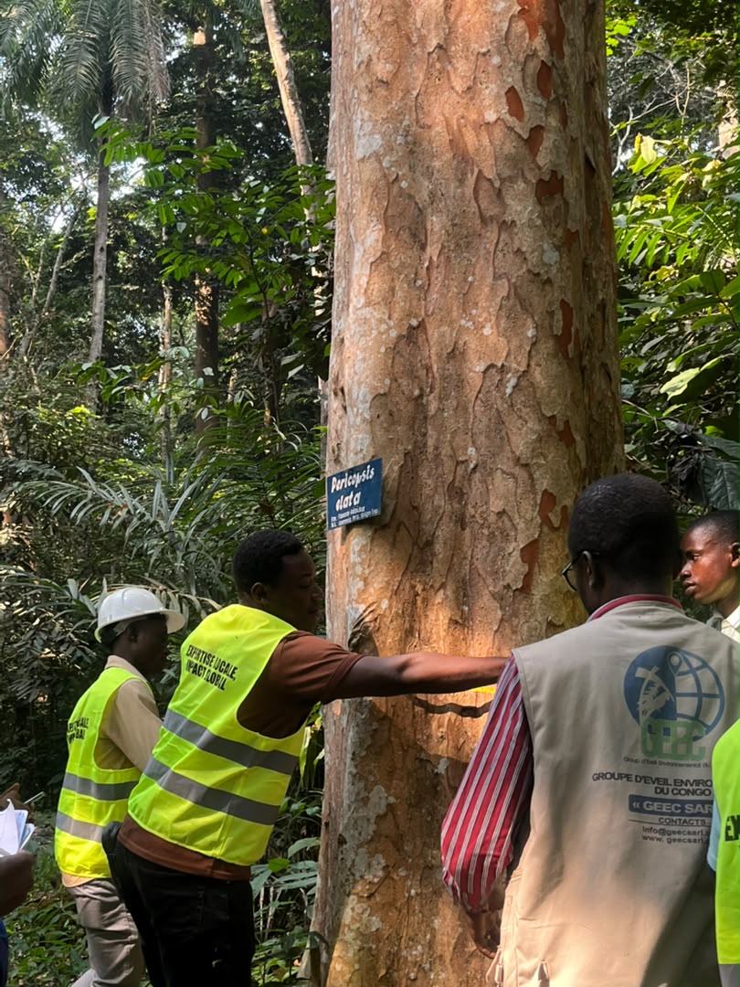 GEEC SARL renforce la formation pratique des futurs experts en environnement à travers un stage académique d'immersion professionnelle au Jardin Botanique de Kisantu  Kisantu, Kongo Central – République Démocratique du Congo