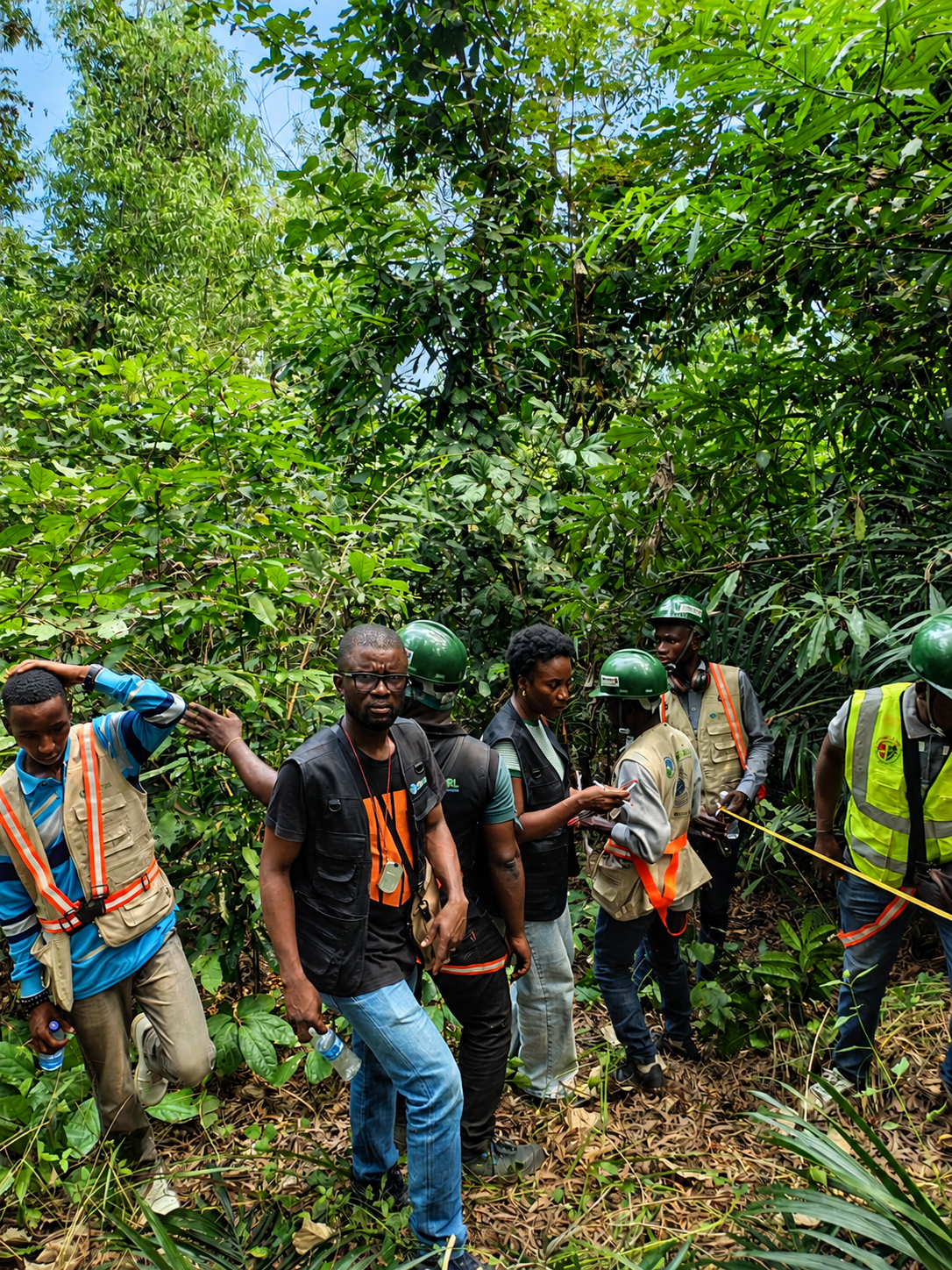 GEEC SARL, une référence en Afrique subsaharienne dans les techniques de MRV : une collaboration technique avec JAFTA et JICA,Une dynamique de collaboration autour de la Mesure, du Rapportage et de la Vérification